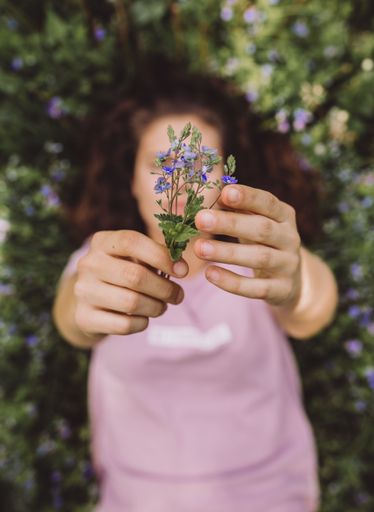 Selective Close Up Of A Female Lying In A Field Holding Purple Flowers Into The Camera