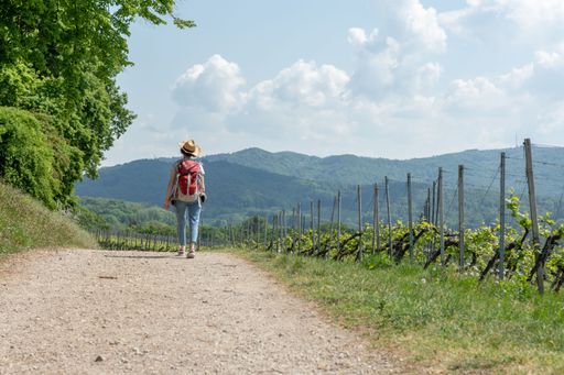 A young Caucasian woman hiking at Blenheim, Germany