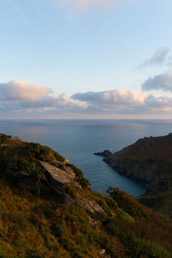 A vertical shot of a sea view from the cliffs at sunset