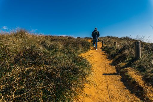 a man walks on the morsum cliff in the nature reserve of the sylt north island