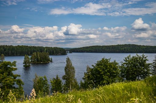 A gorgeous view of a peaceful lake surrounded by lush green trees and hills under a cloudy sky