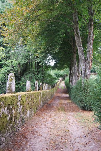 A vertical shot of a pathway with fallen autumn leaves, old fence on the left and covered with vegetation in Pazo de Oca, A Estrada, Galicia, Spain