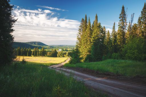 Panoramic landscape of road leading through forest to fields and village near the mountain in a clear cloudy summer day
