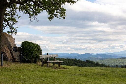 A beautiful view of a wooden bench on a hill with fresh grass under the cloudy sky