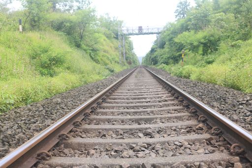 Railway track within the forest