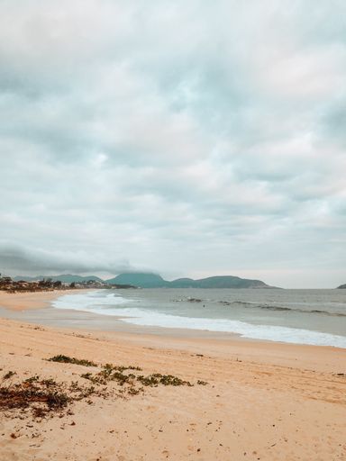 A vertical shot of a beach surrounded by the sea under a cloudy sky in Rio de Janeiro, Brazil