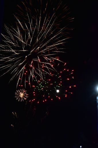A vertical shot of fireworks against a black sky background.
