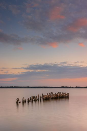A line of cut tree trunks on a shore of the Baltic Sea near Greifswald, Germany at sunset