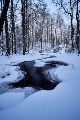 A vertical shot of a freezing river surrounded by trees covered in snow
