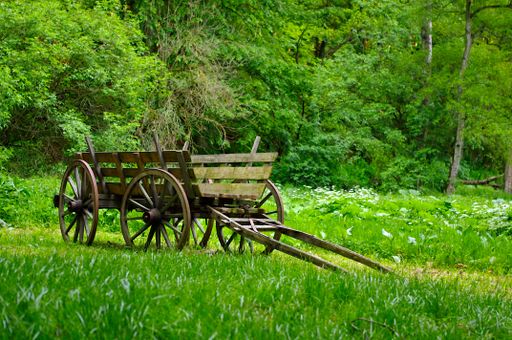 An old wooden wagon standing in an open field with trees and vegetation in the background