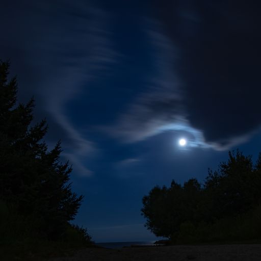 A beautiful scenery of the full moon over a landscape