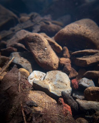 A closeup shot of the underwater stones