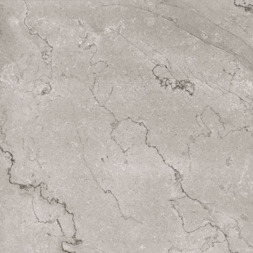 FIORITI LIGHT GREY tiles with natural dark vines high resolution marble texture design image use for wall tiles and wall paper