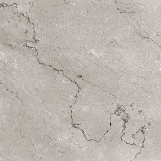 FIORITI LIGHT GREY tiles with natural dark vines high resolution marble texture design image use for wall tiles and wall paper