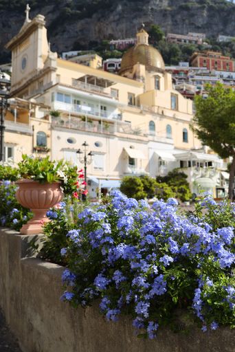 A vertical shot of flowers with buildings in the background in Positano, Amalfi Coast, Province of Salerno, Italy