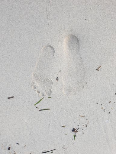 A beautiful shot of footsteps on a white sandy beach