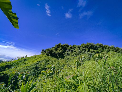 A beautiful mountain landscape with densely forested slopes and valley under blue cloudy sky