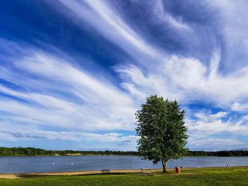 A beautiful view of a lonely green tree at the lake shore against blue cloudy sky