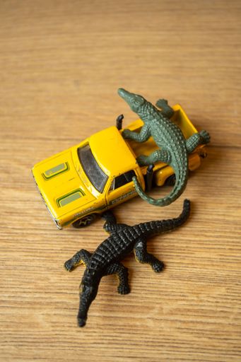 A closeup of Mattel Hot Wheels toy model pick up truck and crocodiles on wooden floor.