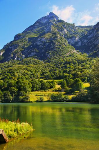 A vertical shot of a beautiful lake near the forest in Asturias, Spain