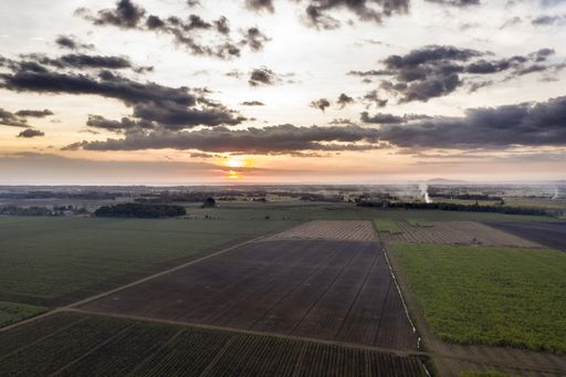 A high angle shot of grassy fields with trees in the distance under a cloudy sky