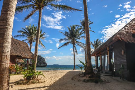 The beautiful coastline of El Nido with palm trees on a bright sunny day