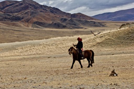 The Eagle hunters of Mongolia in the Golden Altai mountains area. Portrait and sport photography