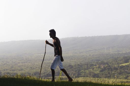 A Shepherd with his flock in the countryside from Cuba