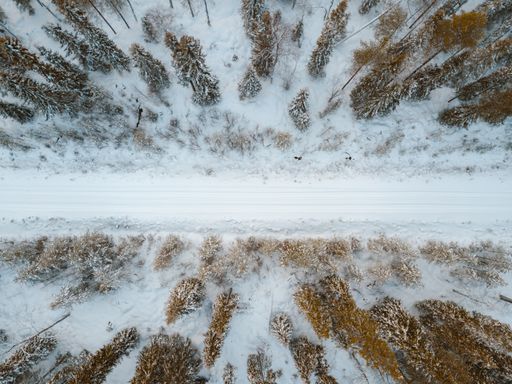 A high angle view of a snow covered road surrounded by trees captured in Finland
