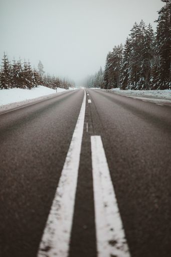A vertical shot an endless road surrounded by trees in snow captured in Sweden