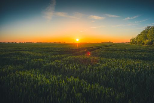 A beautiful view of the green fields under the blue sky captured in Zeeland, Netherlands