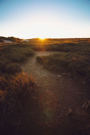 A vertical shot of the fields under the sunrise captured in Andalucia, Spain
