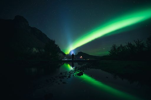 The green Northern lights over the forest against a starry night