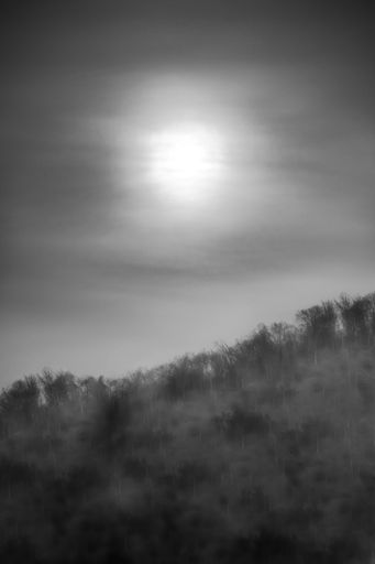A grayscale shot of the moon rising over a forest on a hill with fog around