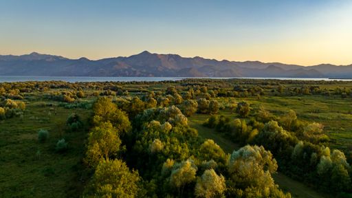 Aerial view of nature, sunset in Skadar lake national park, Montenegro