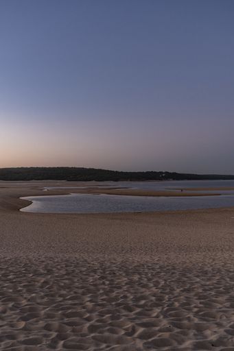 A vertical shot of sandy beach at sunset