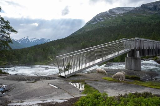 Wonderful landscapes in Norway. Vestland. Beautiful scenery of Likholefossen waterfall and river Eldalselva Gaula. Mountain, trees and sheeps