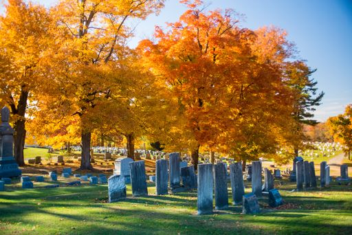 A beautiful shot of a cemetery with gorgeous trees in autumn on a sunny day