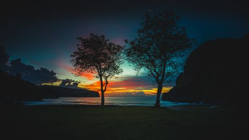 a breathtaking view of the trees at the shore at sunset captured in Sumbawa