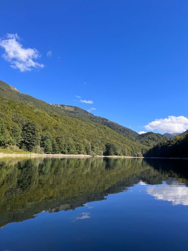 A beautiful shot of green trees and a blue sky reflected on a lake on a sunny day