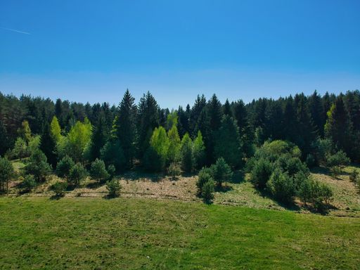 A high angle shot of a beautiful green landscape with trees in the Minsk region of Belarus