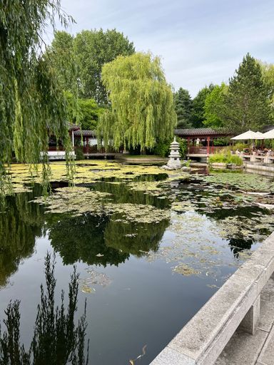 A lake surrounded by trees in Berlin