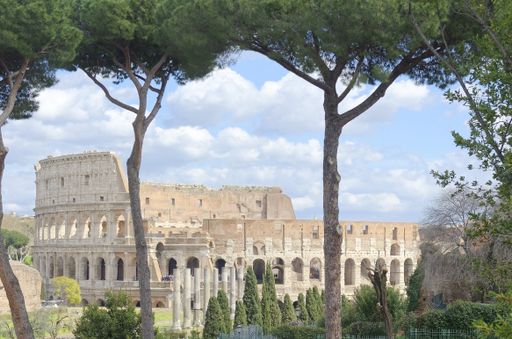 Those who have the chance to visit Rome, should spare some time to visit the ancient, imposing and majestic Roman Coliseum, it is an unic experience.