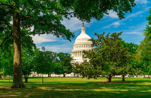 A scene of the white Capitol Hill in a beautiful garden with various trees and green grass in Washington DC, USA