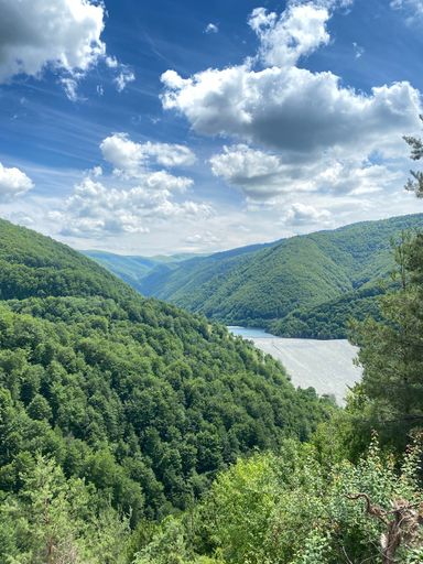 A vertical shot of a mountain range covered with green trees on a sunny day