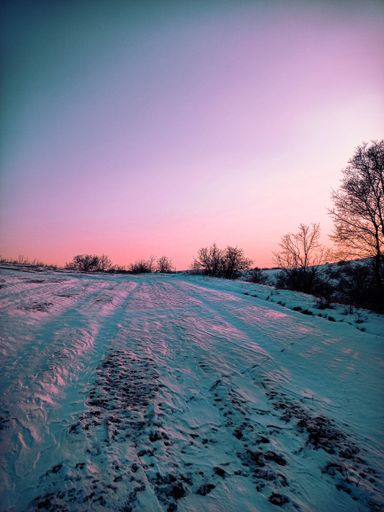 A vertical shot of a field covered in snow during an orange sunset