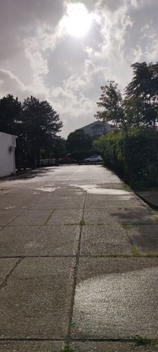 A vertical shot of a path in front of houses