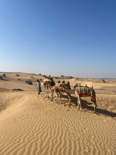 A vertical of an Arab man walking the camels on the smooth sand of a desert in Dubai