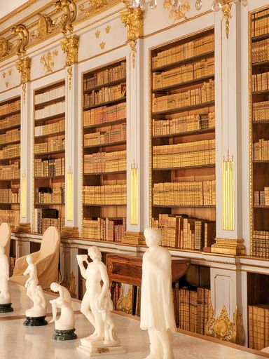 A vertical shot of the inside of a vintage house with sculptures in front of the large library