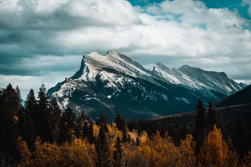 A beautiful shot of snowy mountains and autumn trees in Banff, Alberta